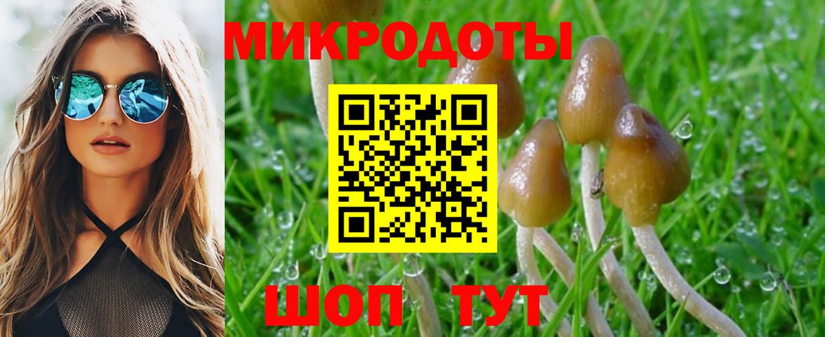 Сарапул  Псилоцибиновые грибы мицелий  Вход с VPN  Псилоцибиновые грибы MAGIC MUSHROOMS 